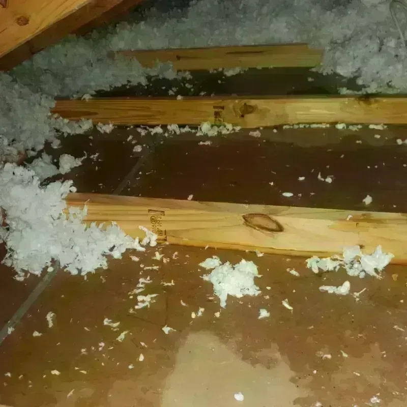 Attic Water Damage in Hollywood, CA