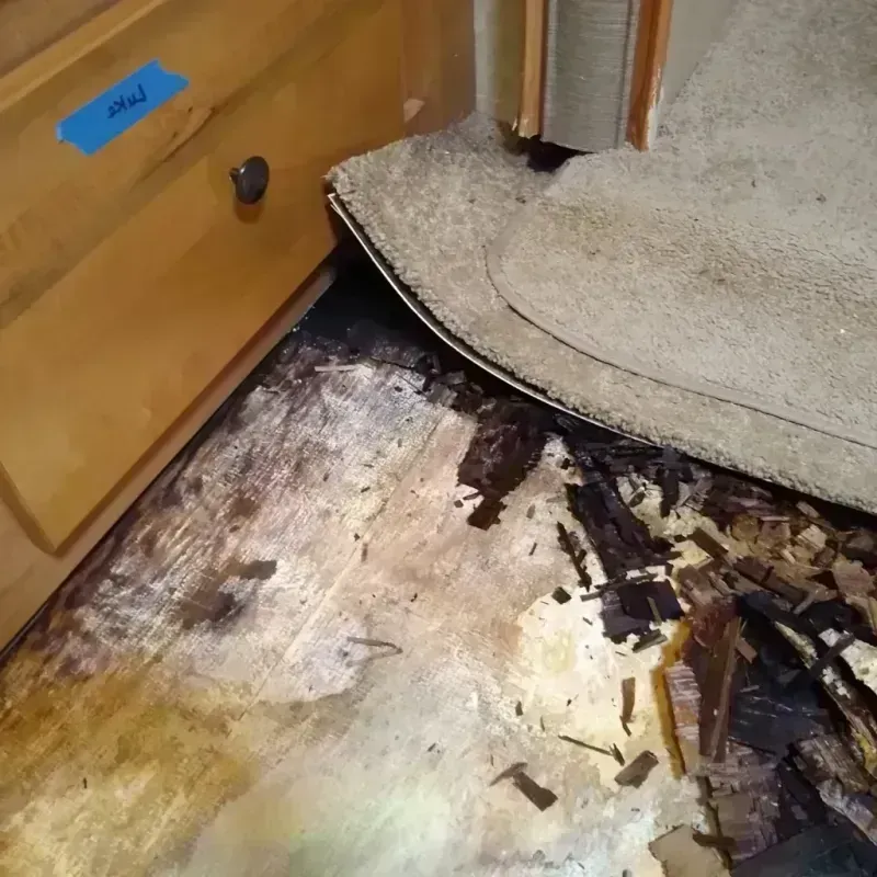 Best Wood Floor Water Damage Service in Hollywood, CA